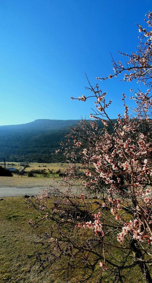 Auberge Collective Cozy&Family La Palud-sur-Verdon Экстерьер фото